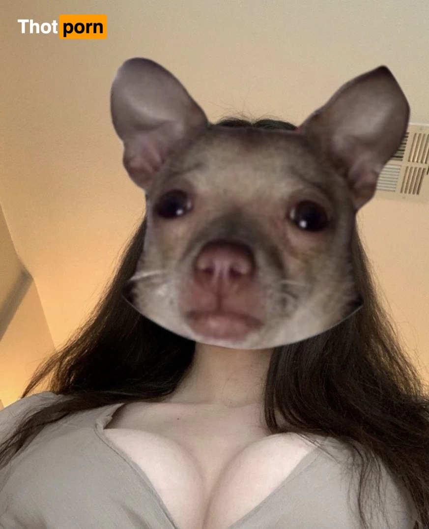 cinnamon bun 3846206