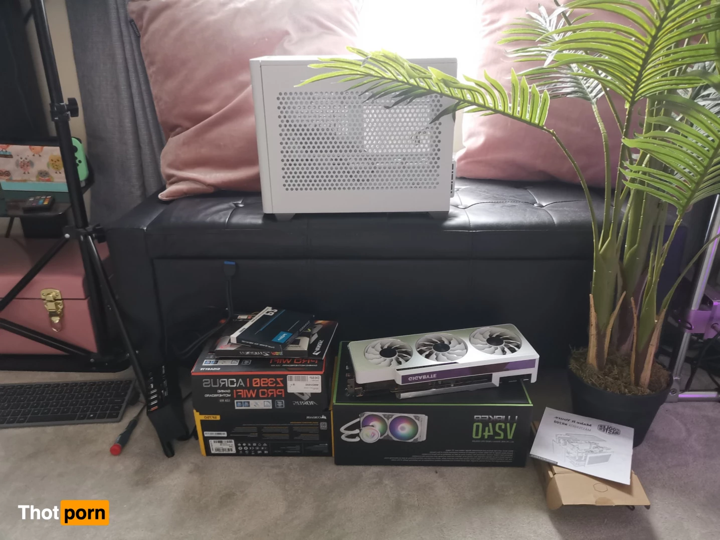 Olivia Robin 9918759