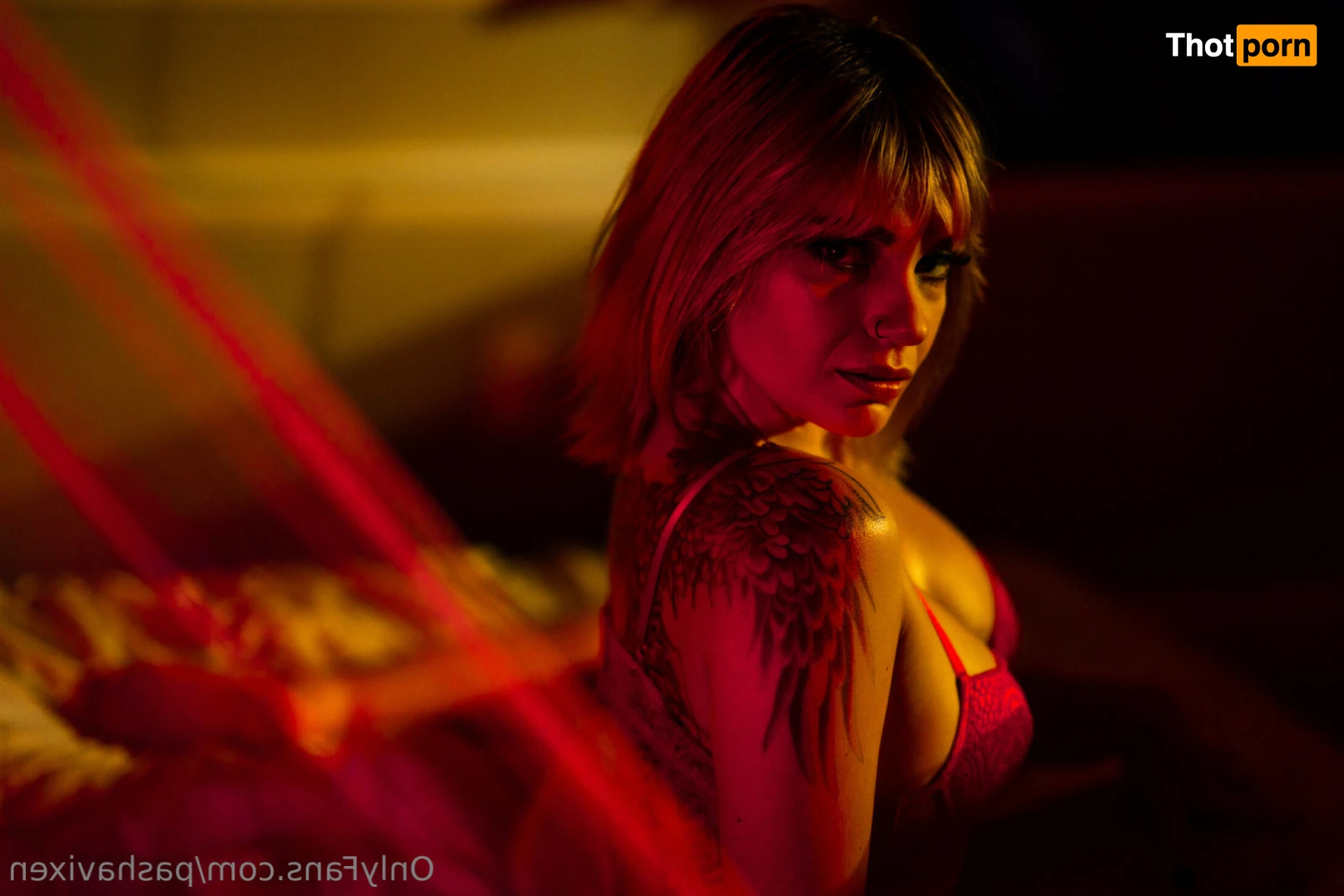 Pasha Vixen 14229604