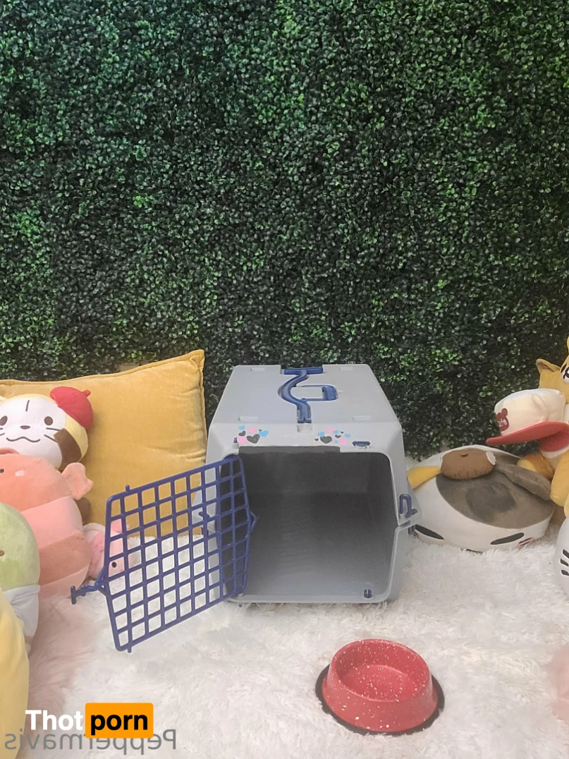 Pepper Mavis 14229538