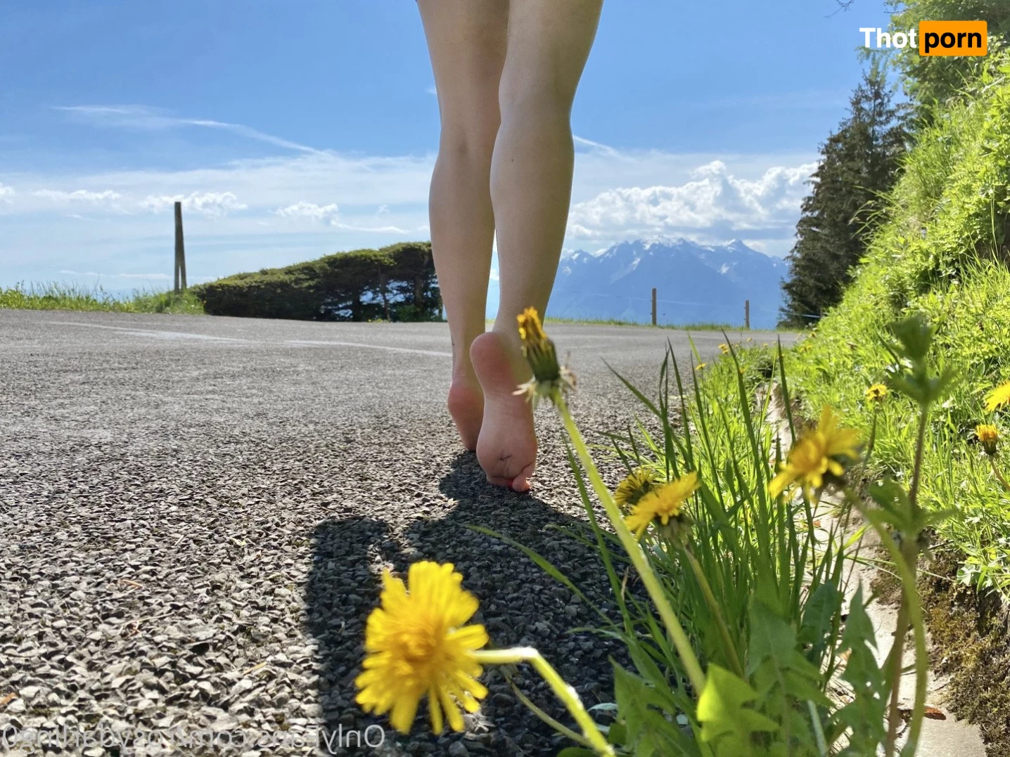 rosydarling0 4307833