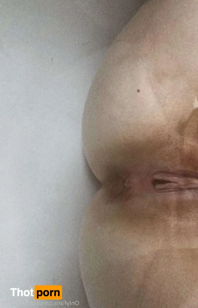 Scarlett 🧘🏻‍♀️ tiny🐱 3733299