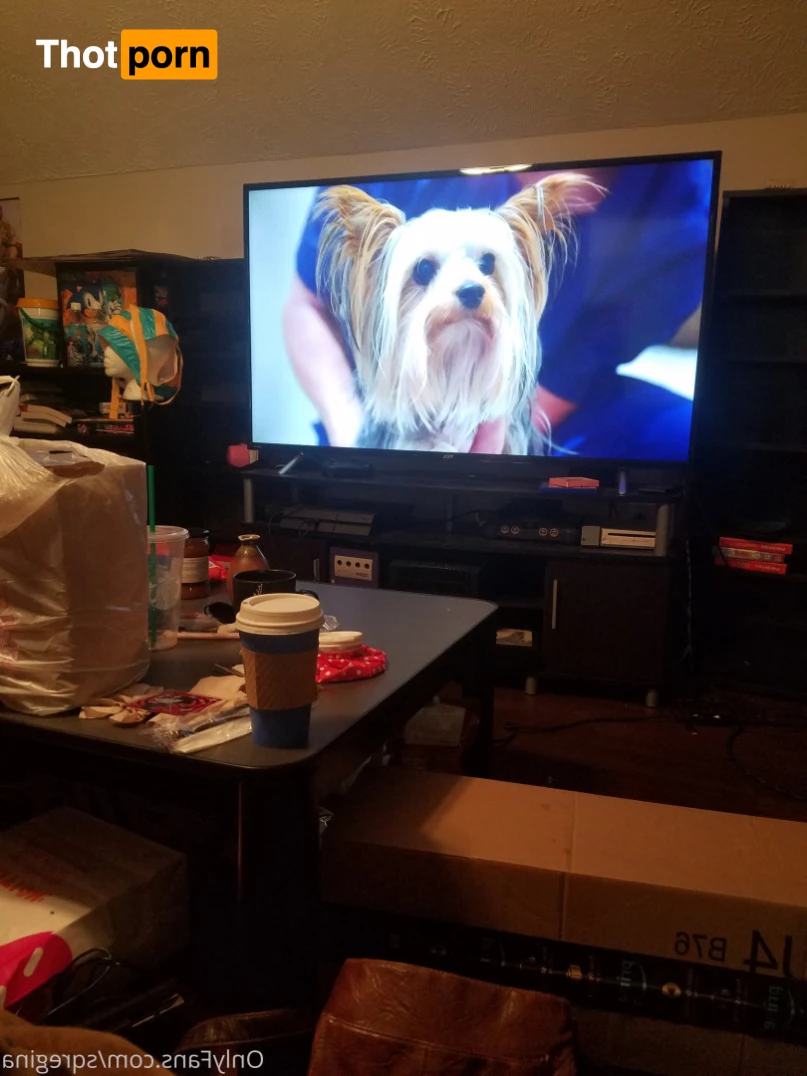 Sleeping Queen Regina Cosplay 6245794