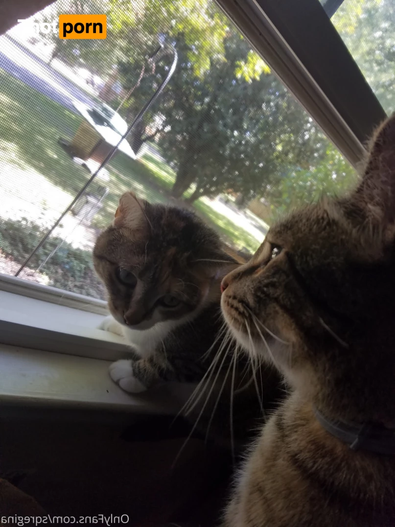 Sleeping Queen Regina Cosplay 6245810