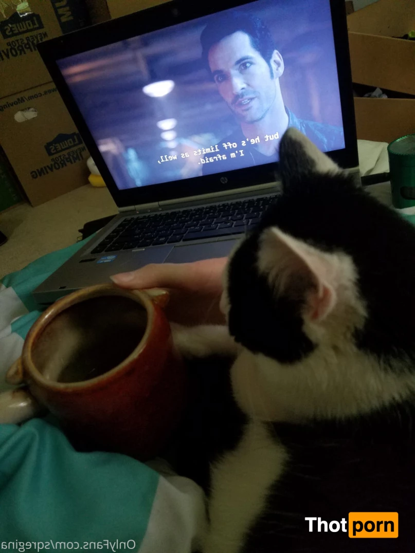 Sleeping Queen Regina Cosplay 6245942