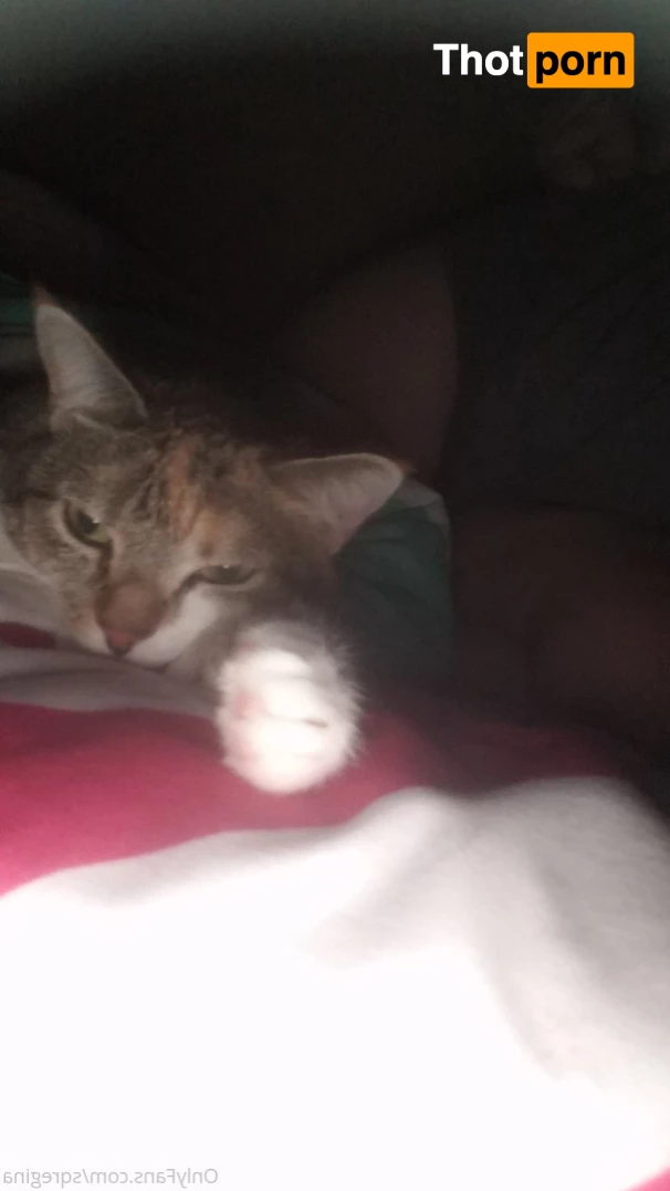 Sleeping Queen Regina Cosplay 6246000