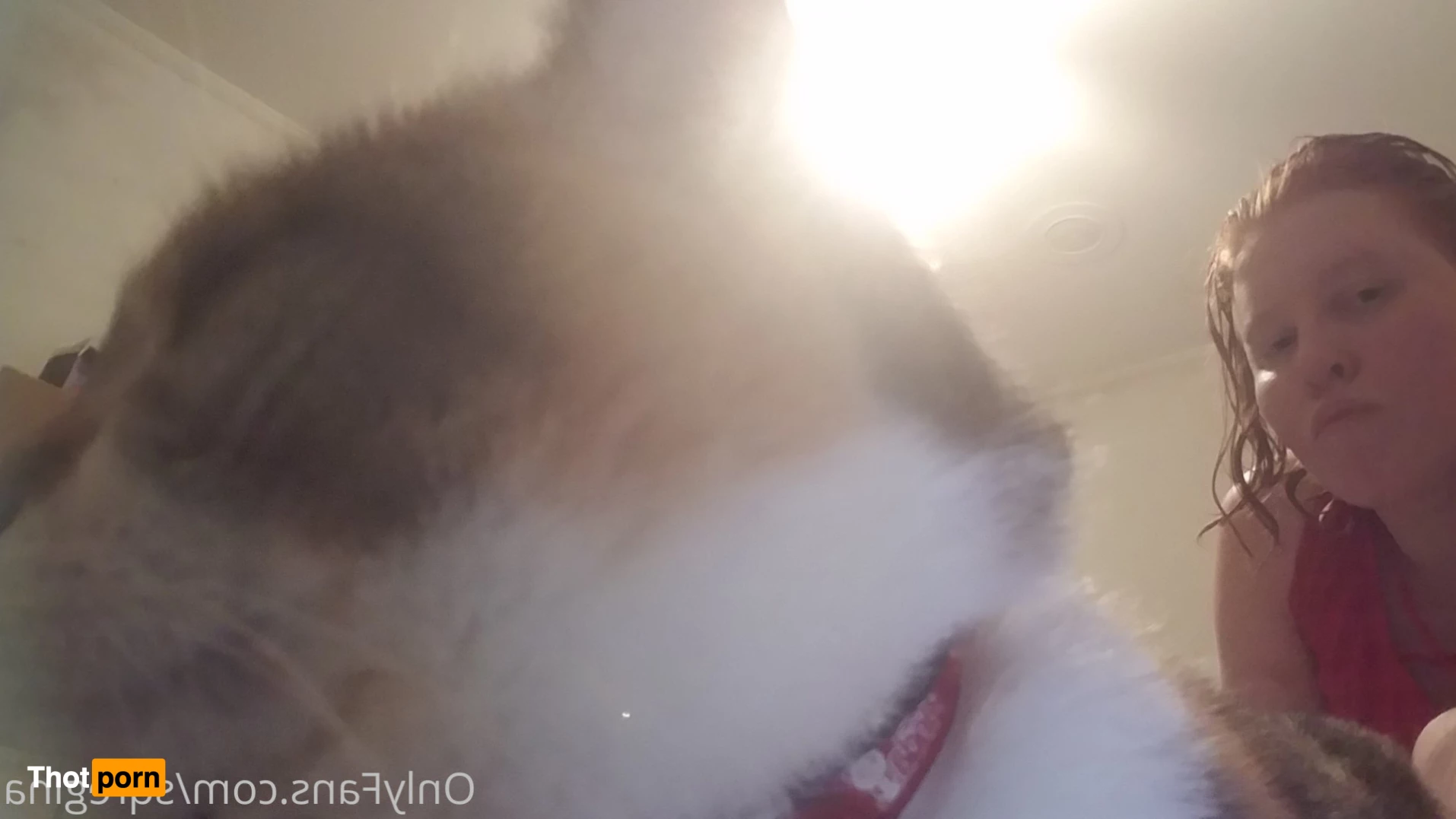 Sleeping Queen Regina Cosplay 6246080