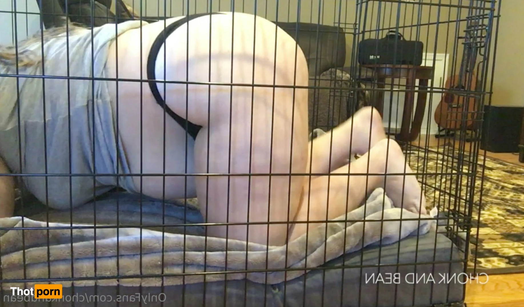 ChonkandBean 12315915