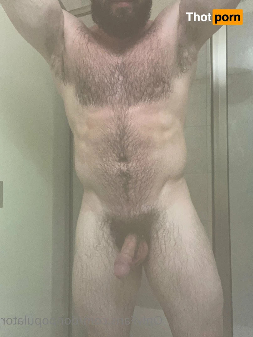 Don Populator 2192513