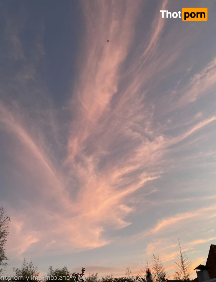 emily-morgan 2191746