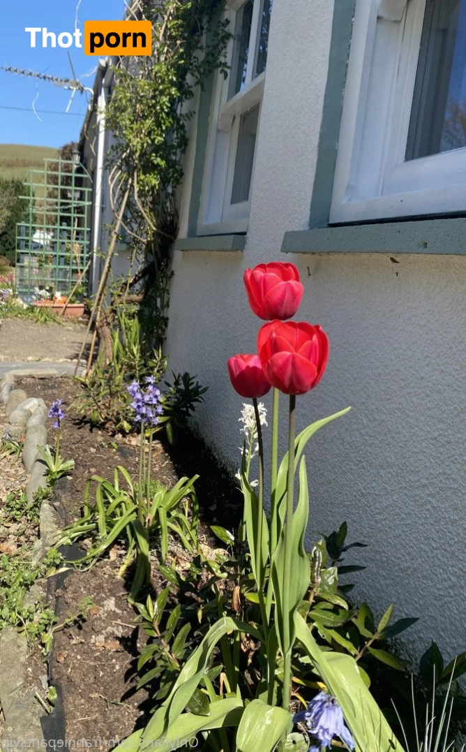 Feed and Breed 3642457