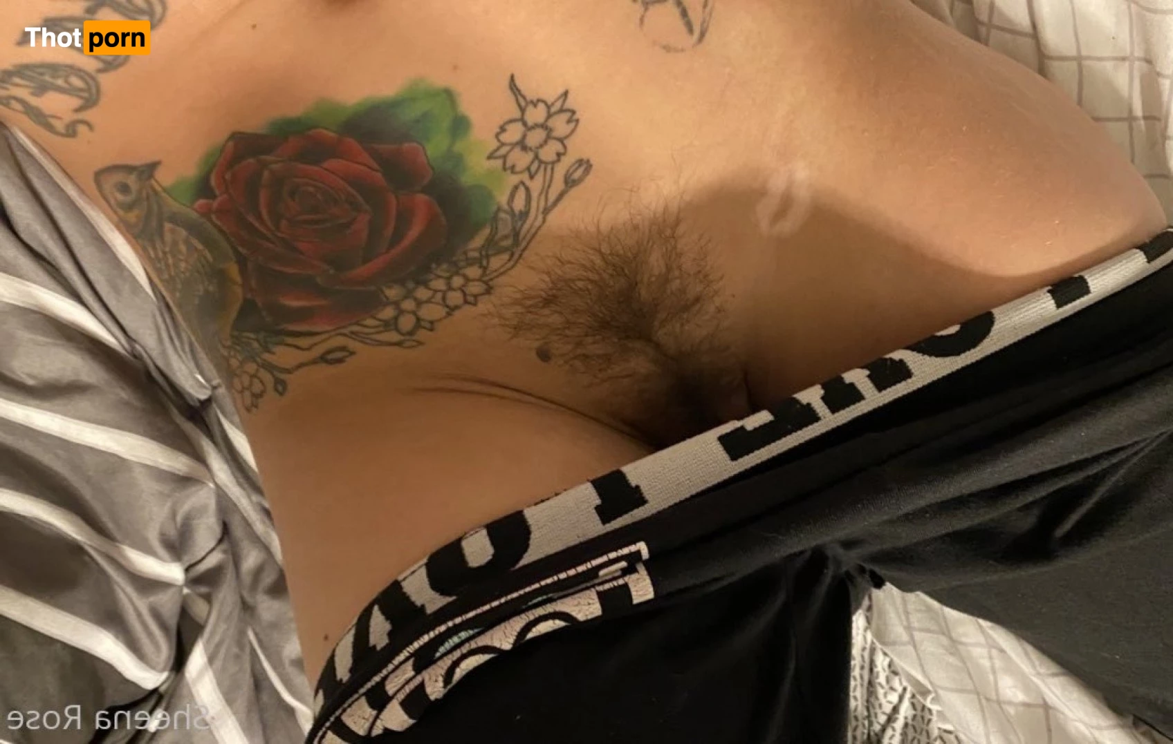 Free Sheena Rose 2190167