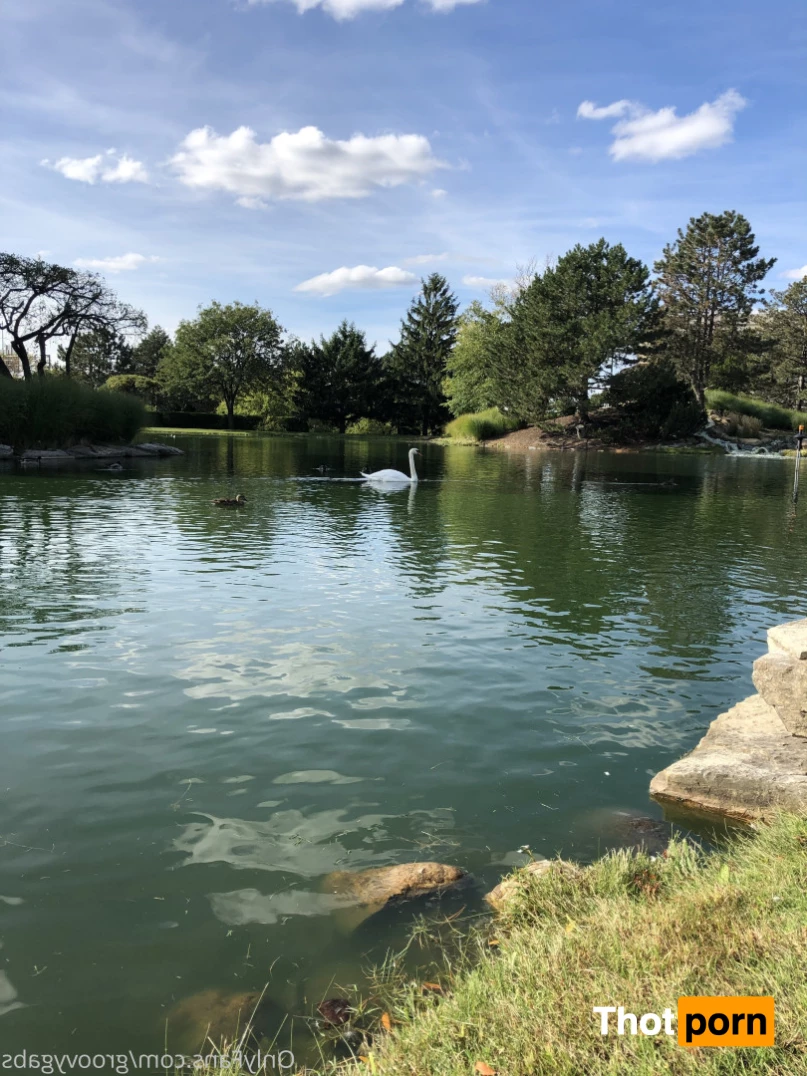 groovin with gabs 6065484