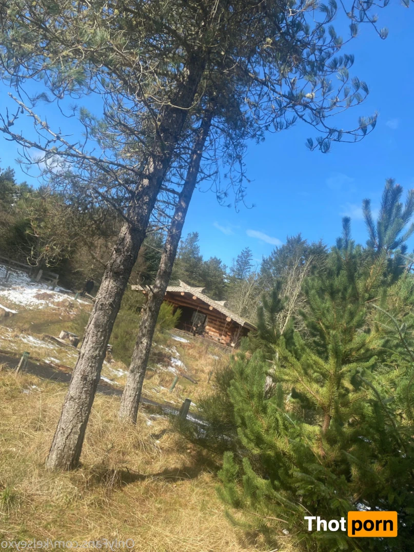 Kelsey Johnson 13781864