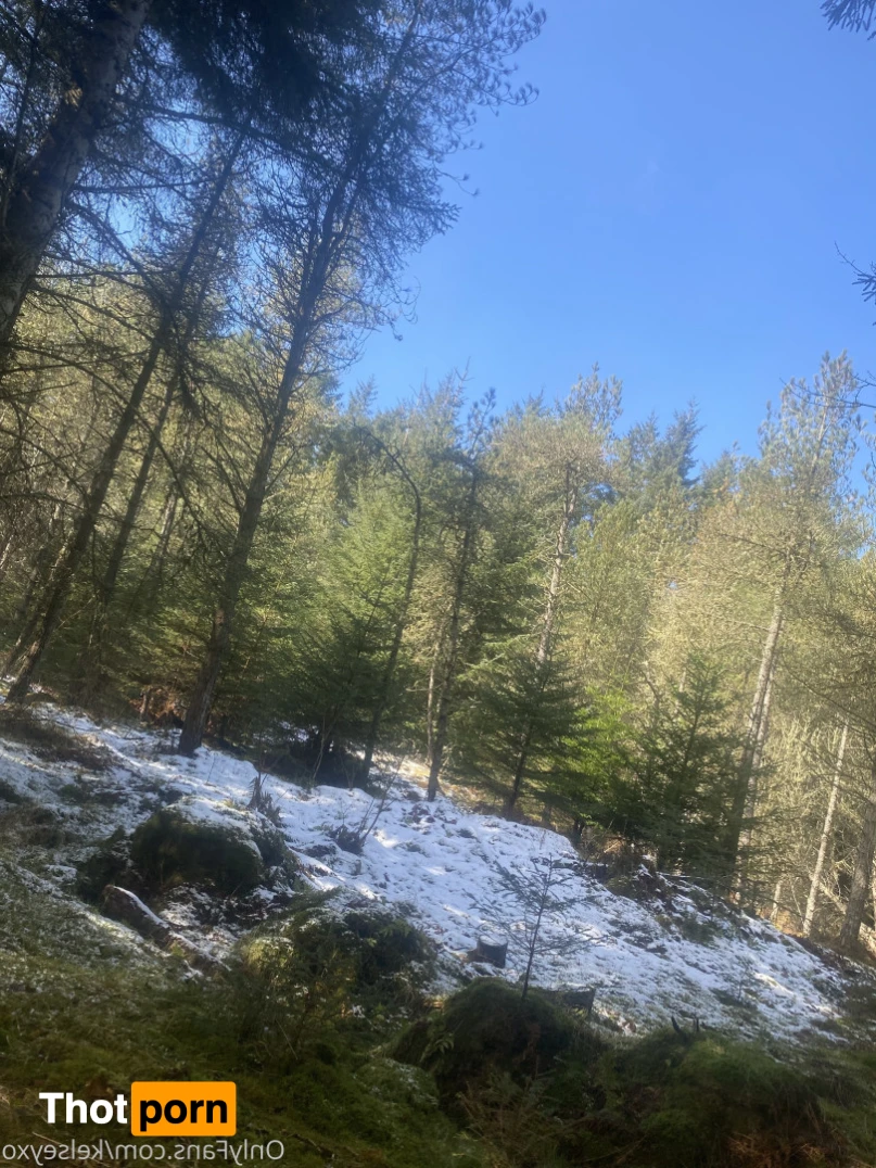 Kelsey Johnson 13782081