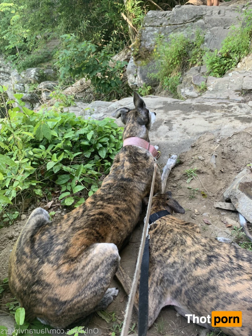 Mommy Lauran Vickers 💕 VIP 13637177