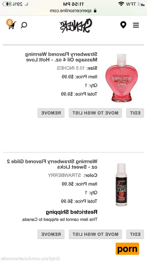 Luna the Noodle 3900144