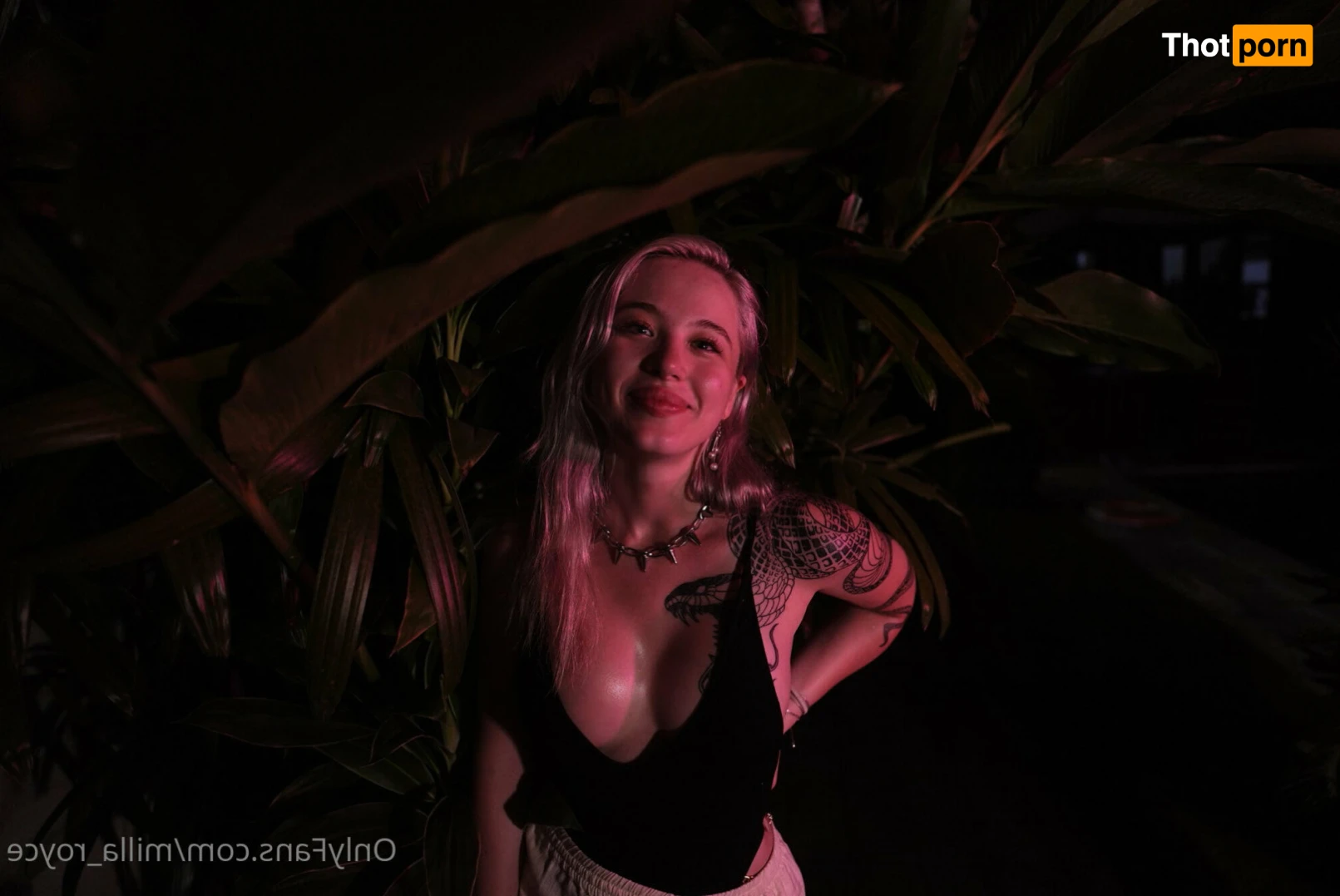 Milla Royce 💜 13531048