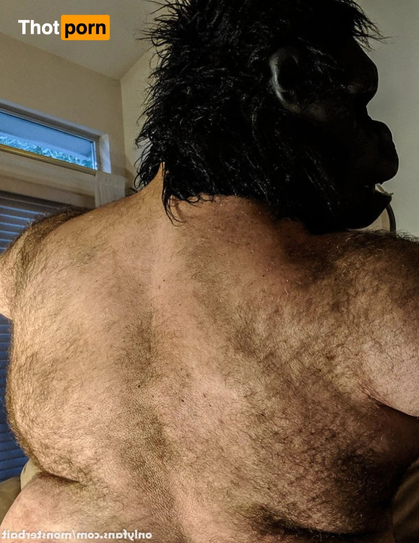 𝕸𝖔𝖓𝖘𝖙𝖊𝖗𝖇𝖆𝖎𝖙 3749226