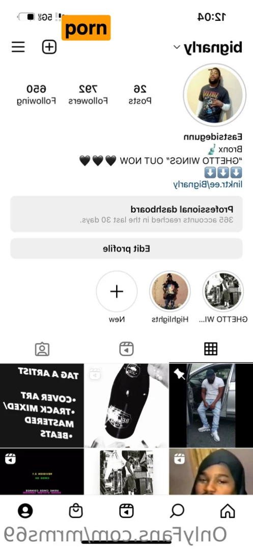 Kryssythegemini 6006108