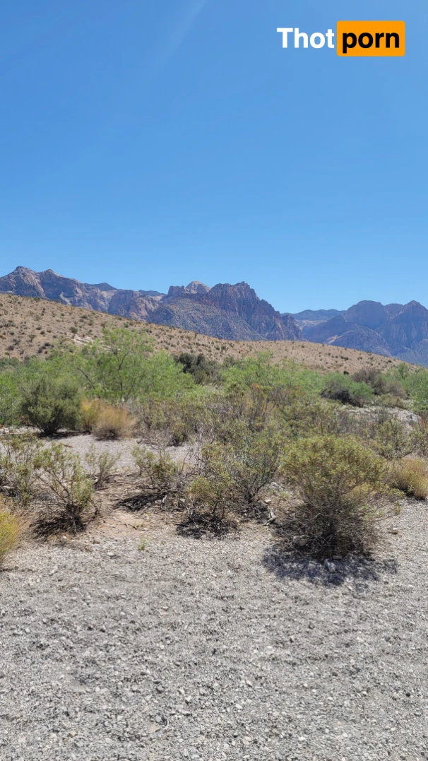 Kat Mattix (NDC) 13448350