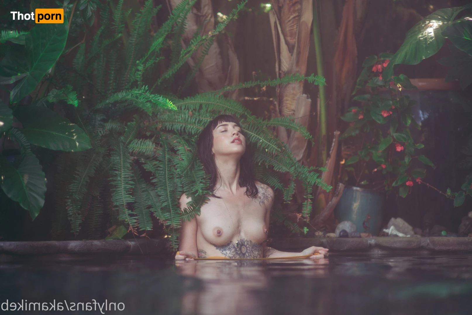 mike b photography 4674121