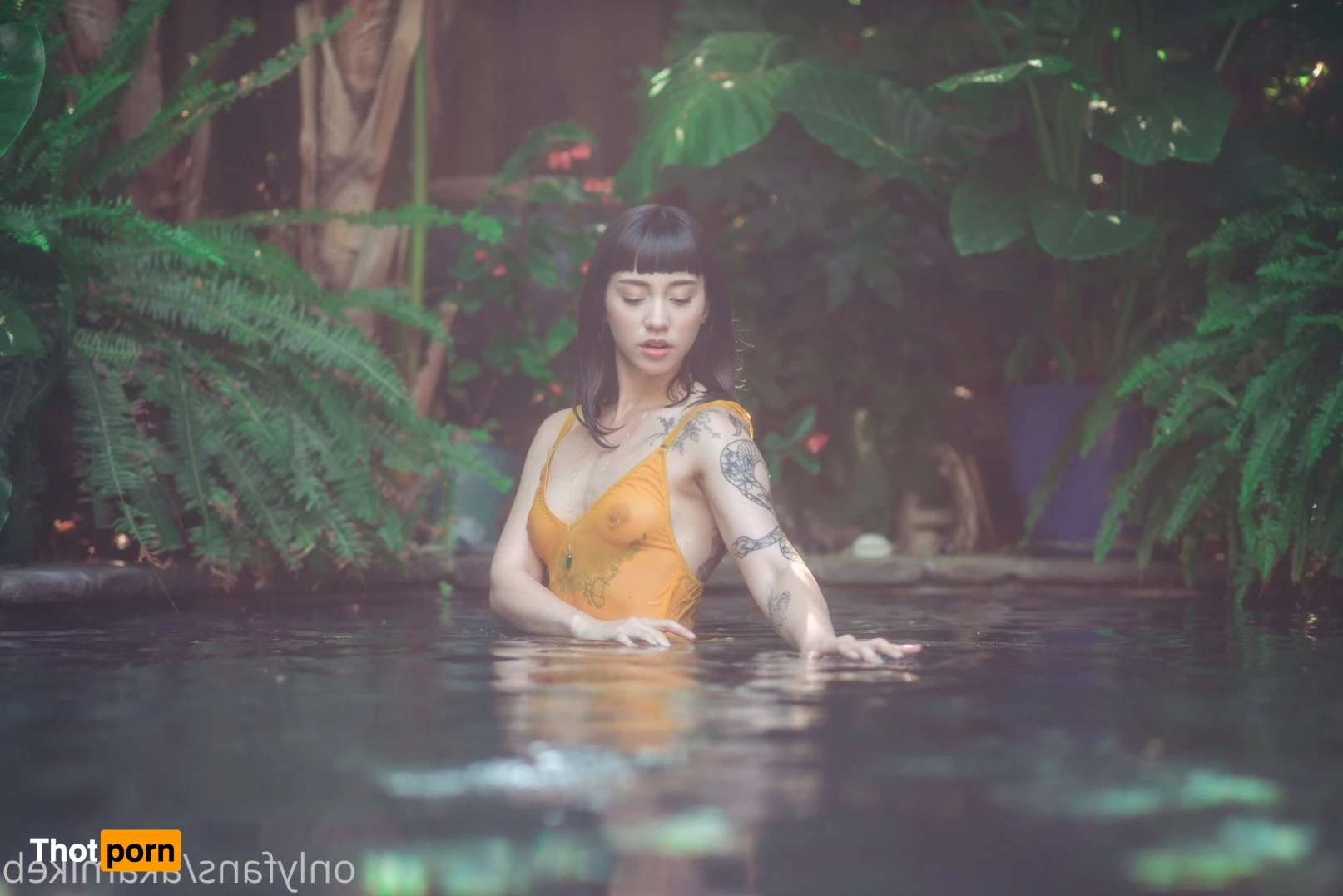 mike b photography 4674162