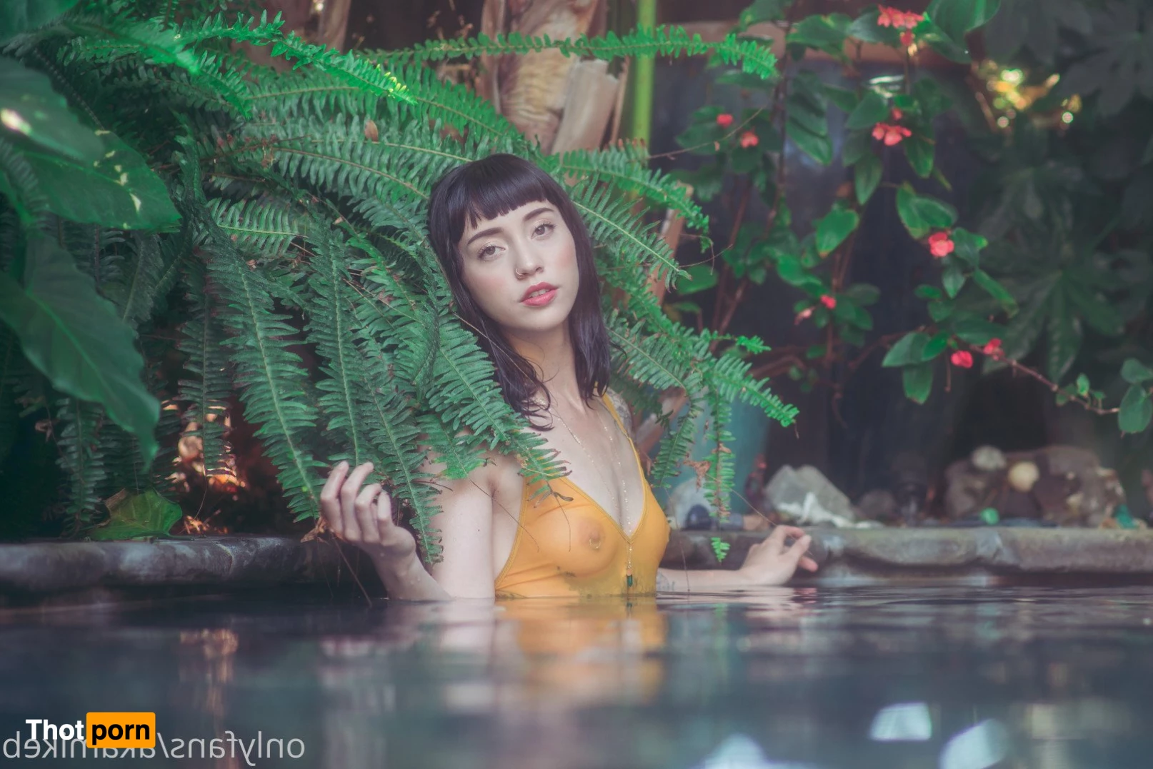 mike b photography 4674210