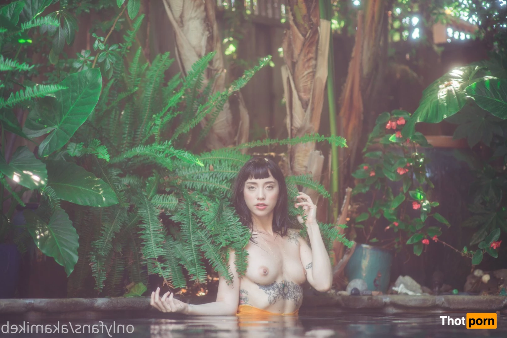 mike b photography 4674216