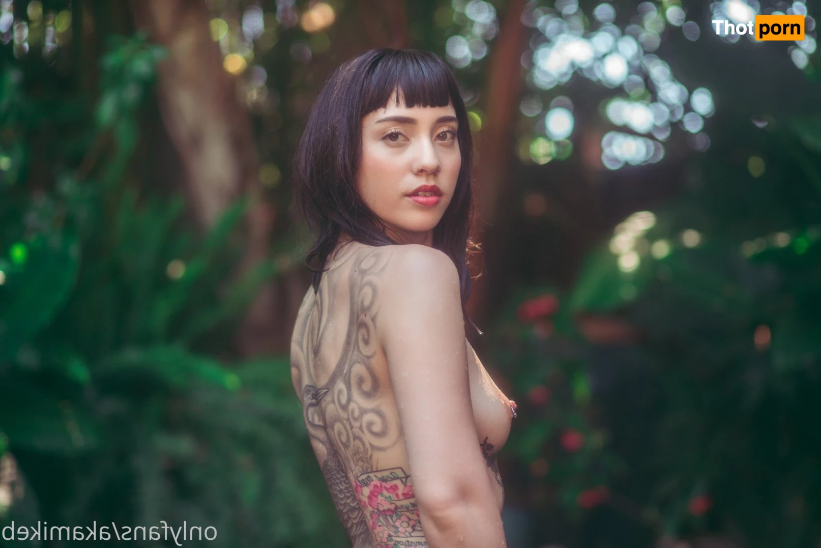 mike b photography 4674221