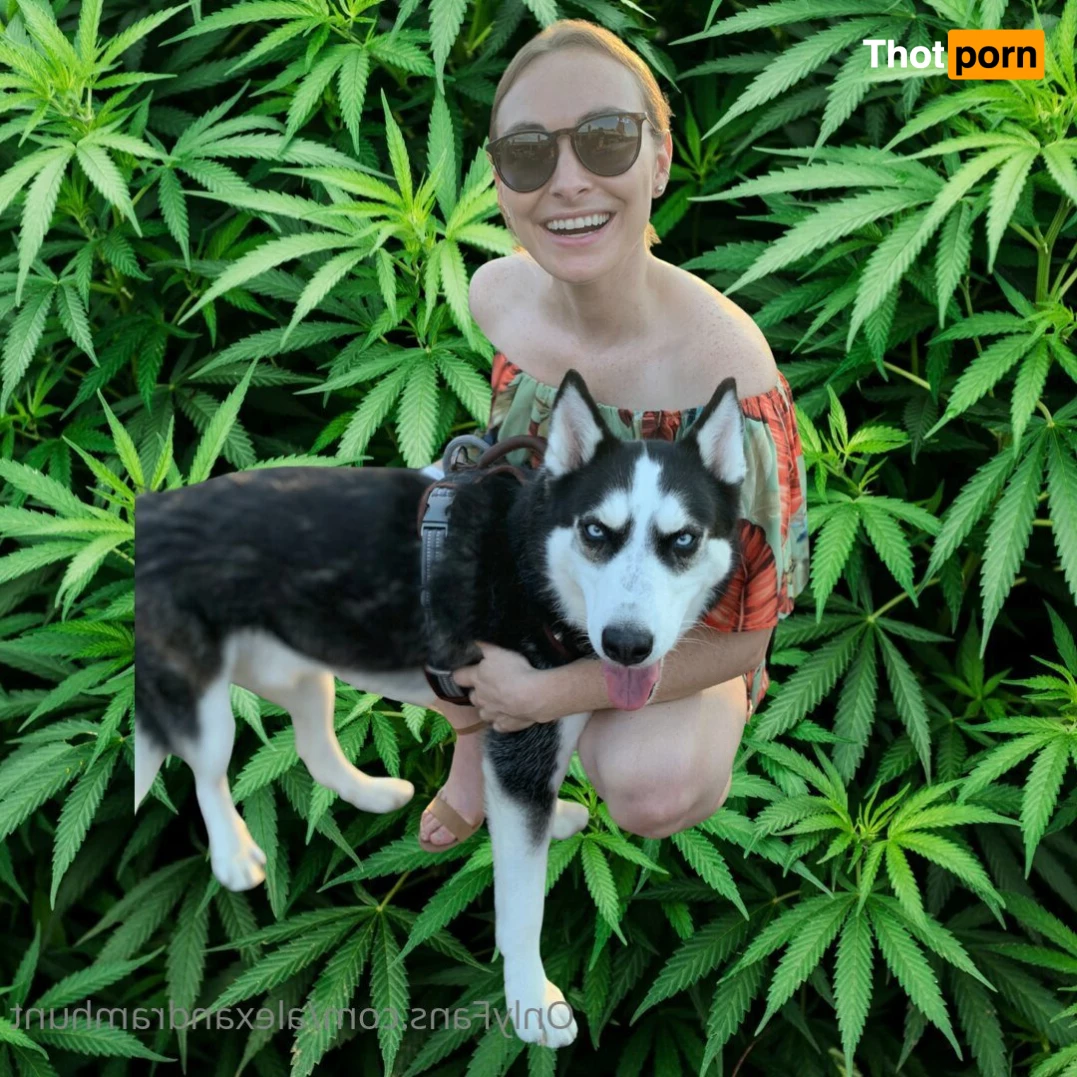 Alexandra M. Hunt [ alexandramhunt ] OnlyFans leaked photo 3631723 on  Thotporn