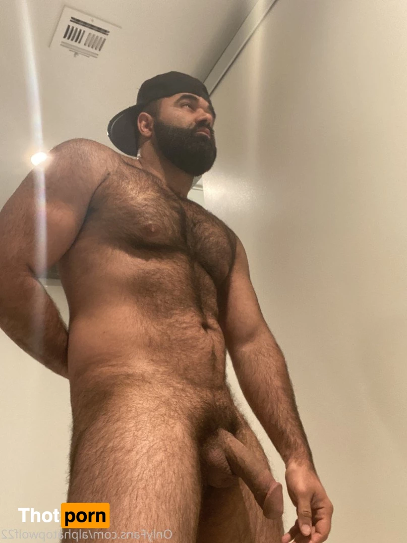 Persian Alpha Wolf 3498486