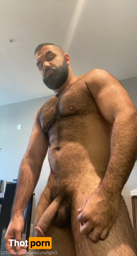 Persian Alpha Wolf 3498511