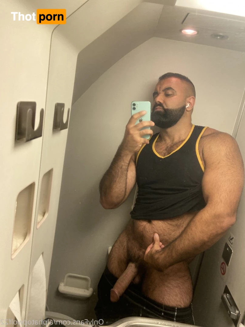 Persian Alpha Wolf 3498618