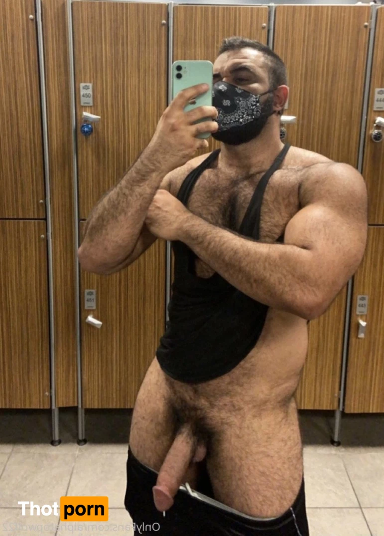 Persian Alpha Wolf 3498657