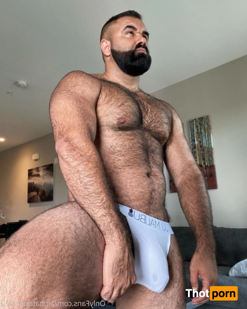 Persian Alpha Wolf 3498736