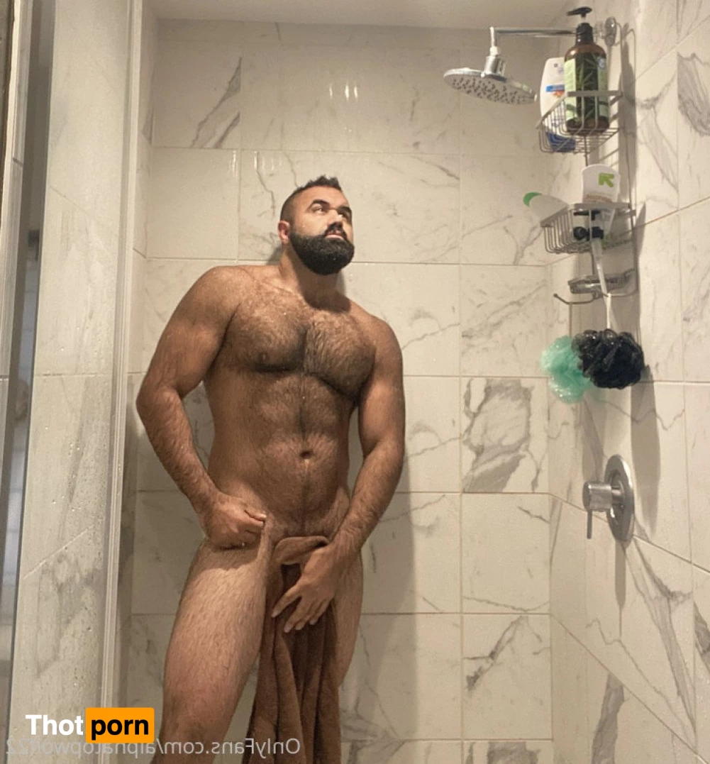 Persian Alpha Wolf 3498775