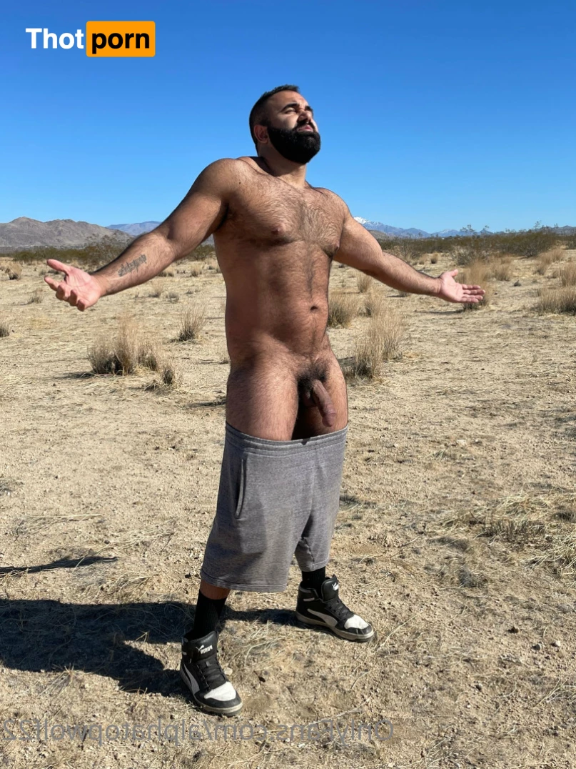 Persian Alpha Wolf 5884513