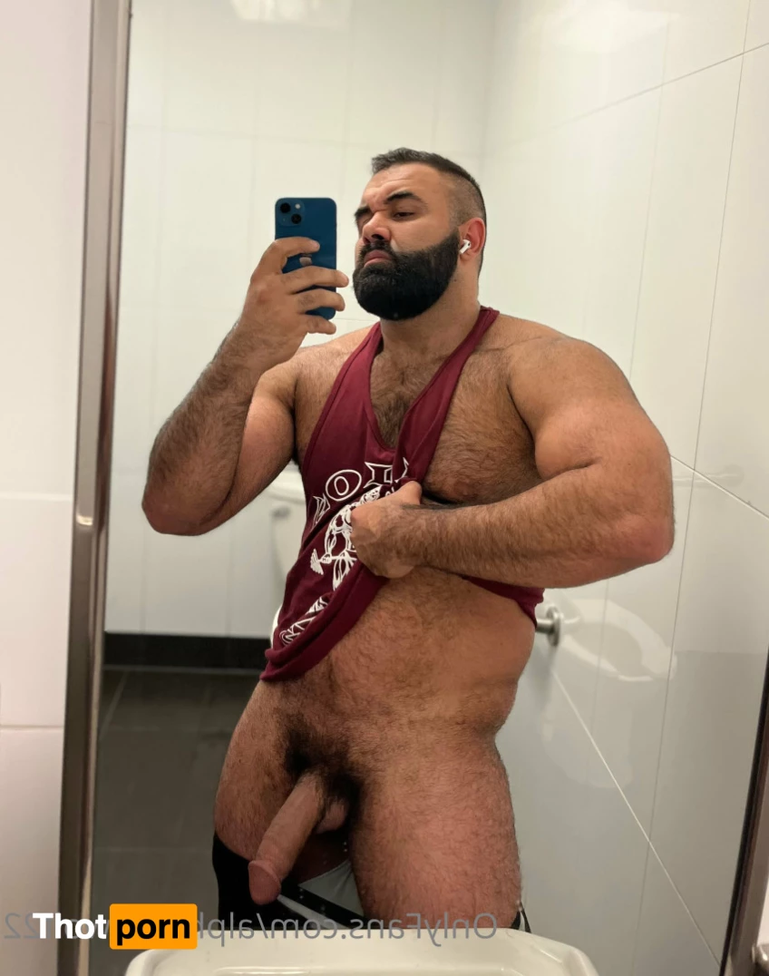 Persian Alpha Wolf 5884523