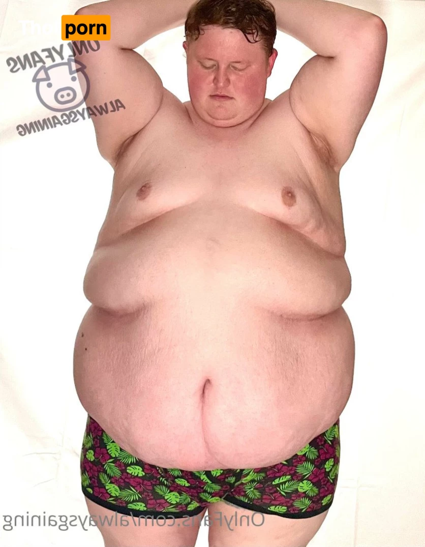 Dom Feeder &amp; Sub Gainer 3663453