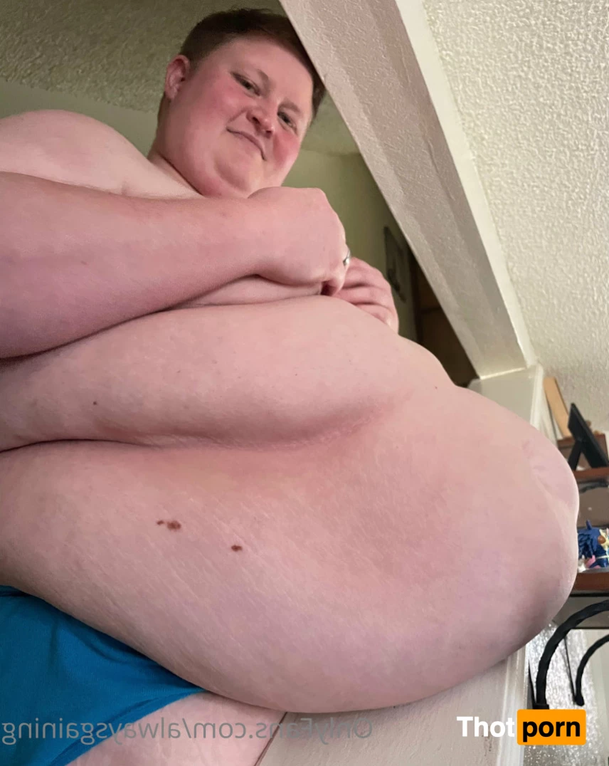 Dom Feeder &amp; Sub Gainer 6443246