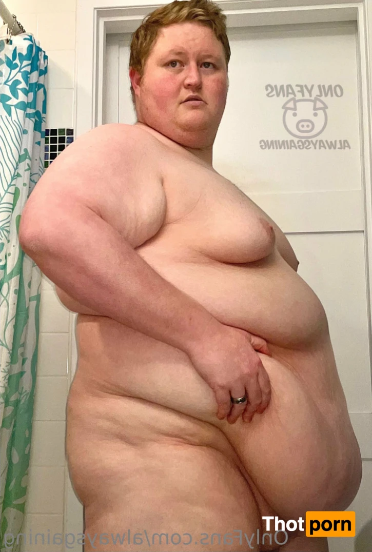 Dom Feeder &amp; Sub Gainer 16044538