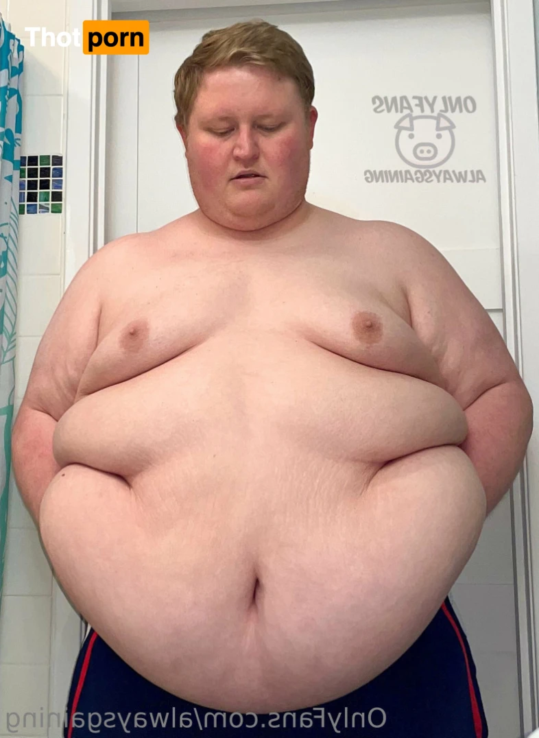 Dom Feeder &amp; Sub Gainer 16044549