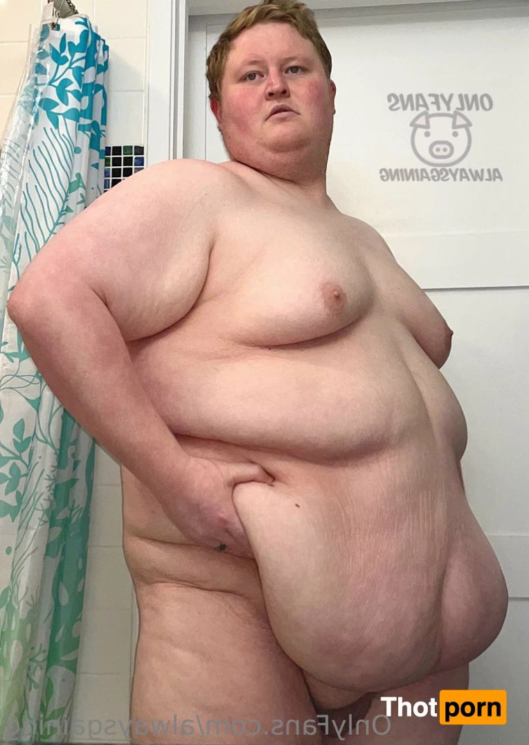 Dom Feeder &amp; Sub Gainer 16044597