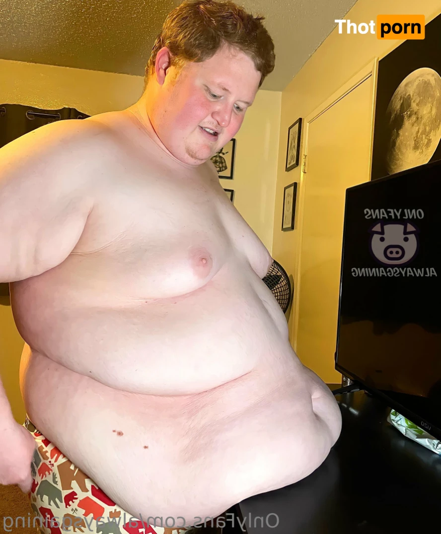 Dom Feeder &amp; Sub Gainer 16044661