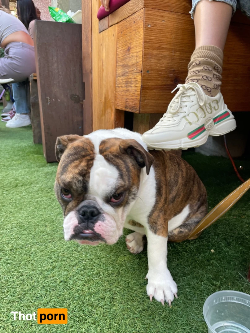 Amanda Michelle 13113138