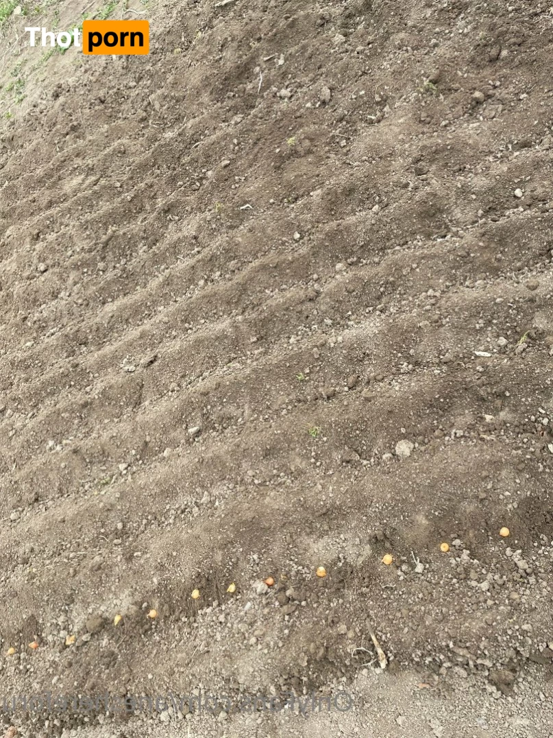 Aneshereforu 3699864