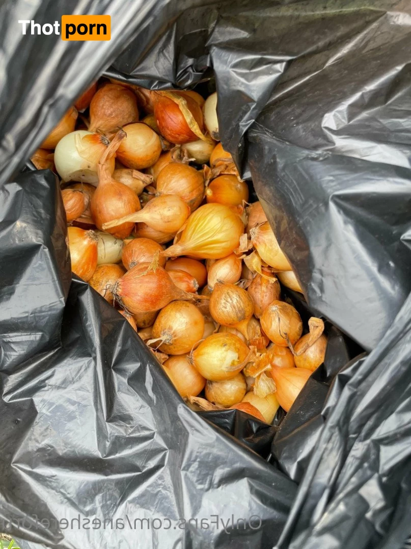 Aneshereforu 3700896