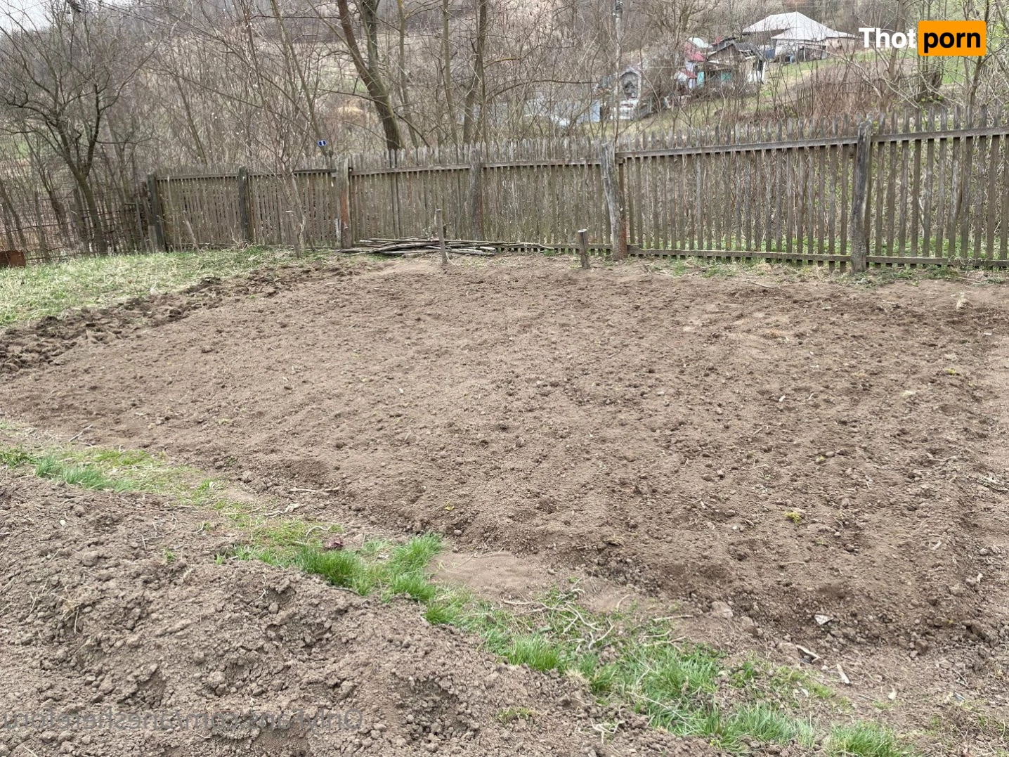 Aneshereforu 3702282