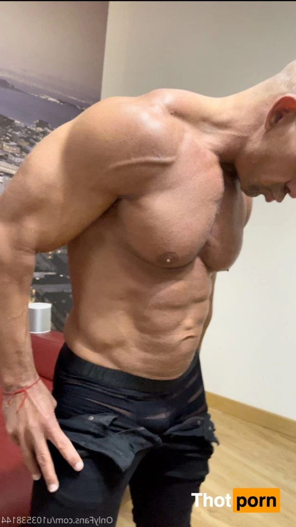 angelfronterafree 3800247